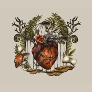 Sylvia Plath, Taylor Swift, & The Power Of The Witch Imagery